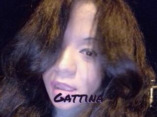 Gattina