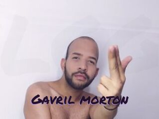 Gavril_morton