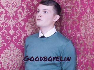 Goodboyelin