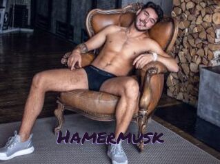 Hamermusk