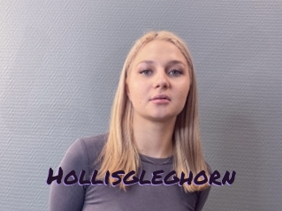 Hollisgleghorn