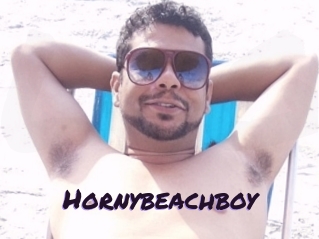 Hornybeachboy