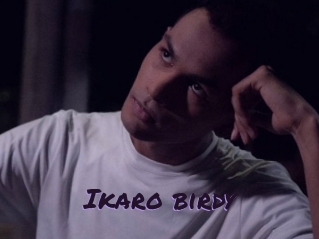 Ikaro_birdy