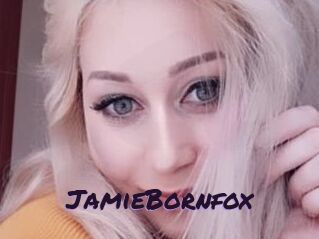 JamieBornfox