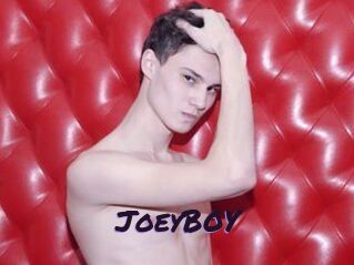 JoeyB0Y