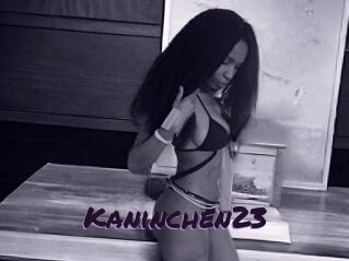 Kaninchen23