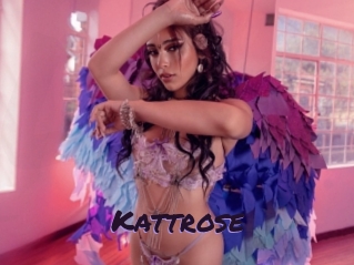 Kattrose