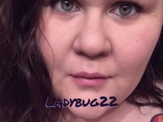 Ladybug22