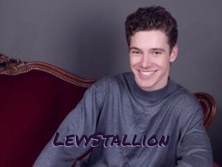 LevyStallion