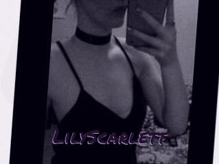 Lily_Scarlett