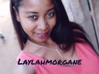 Laylahmorgane