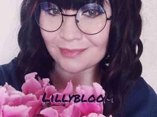 Lillybloom
