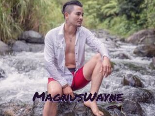 MagnusWayne