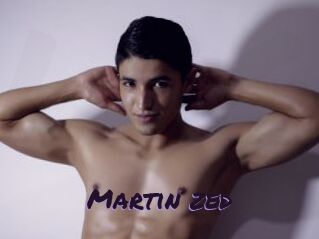 Martin_zed