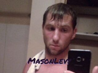 Mason_Levy