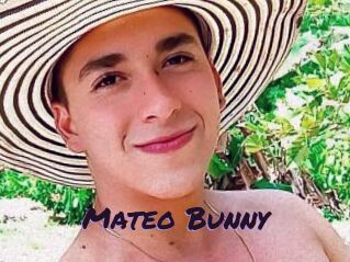 Mateo_Bunny