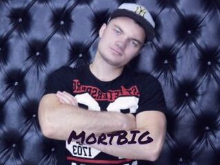MortBIG