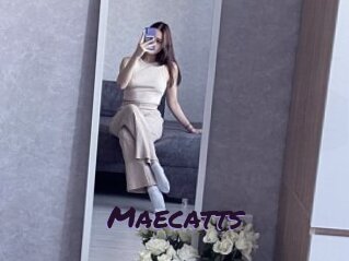 Maecatts