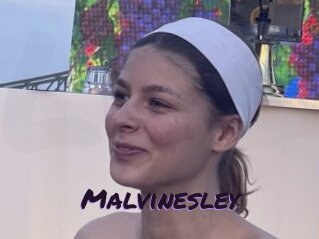 Malvinesley