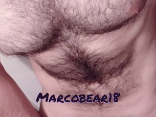 Marcobear18