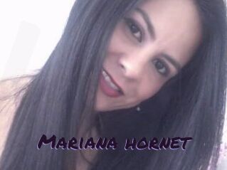 Mariana_hornet