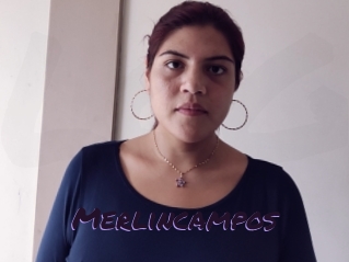 Merlincampos