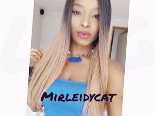 Mirleidycat