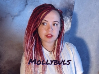 Mollybuls