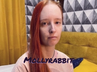 Mollyrabbit