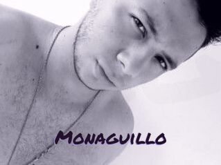 Monaguillo