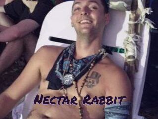 Nectar_Rabbit