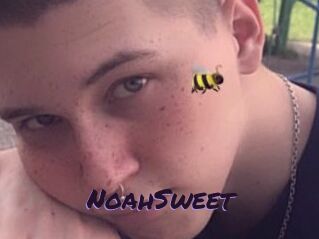 NoahSweet