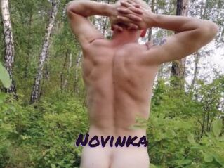 Novinka
