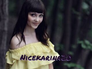 Nicekarina20