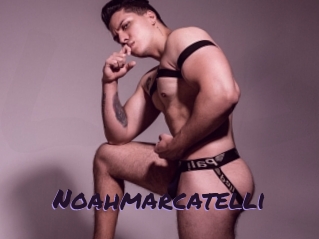 Noahmarcatelli