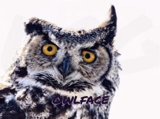 Owlface