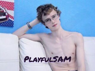 PlayfulSAM