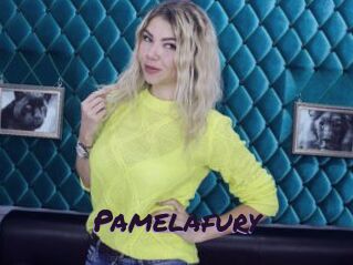 Pamelafury