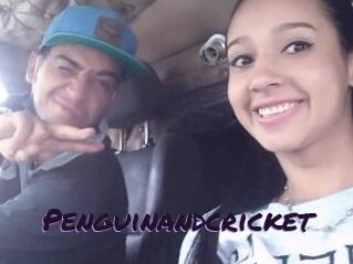 Penguinandcricket