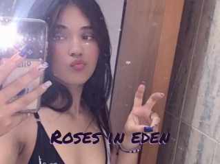 Roses_in_eden