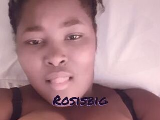 Rosisbig