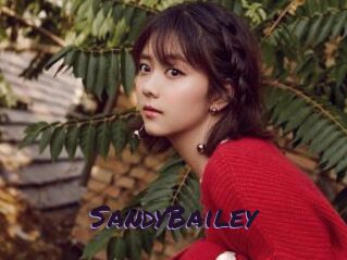 SandyBailey