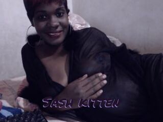 Sash_kitten