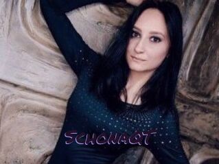 SchonaQT