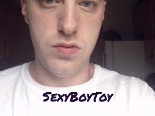 SexyBoyToy