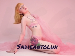 Sadieantolini