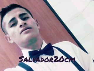 Salvador20cm