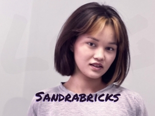 Sandrabricks