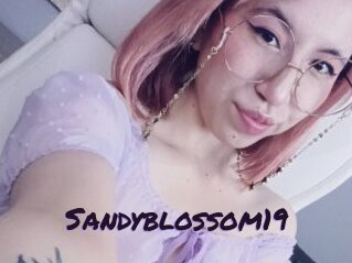 Sandyblossom19