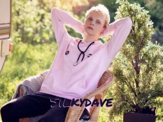 Silkydave